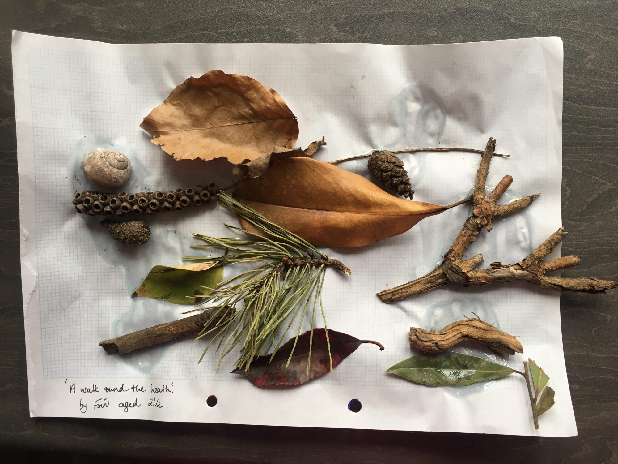 collage of things found around the heath such as twigs, leaves and a snail shell