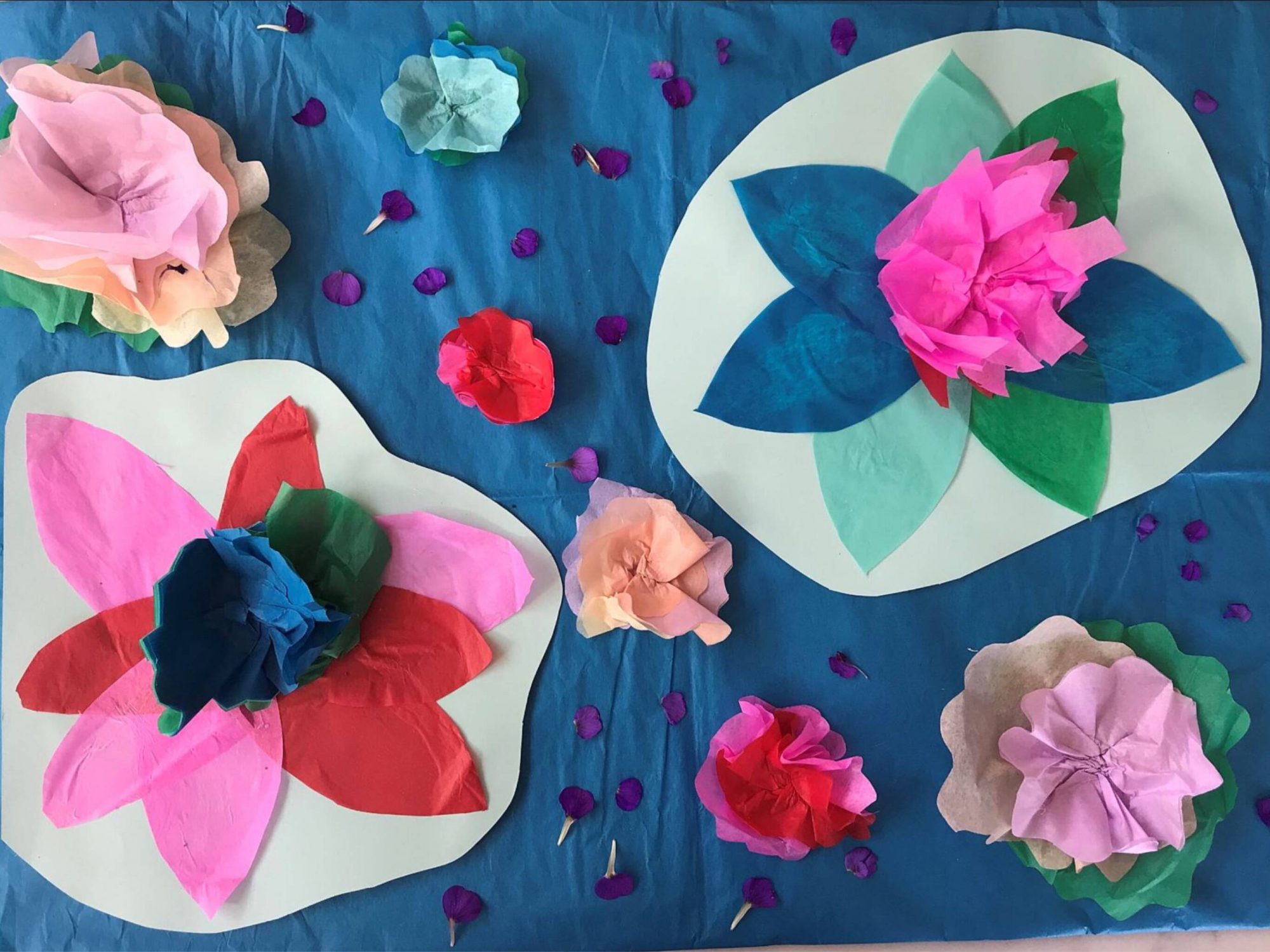 colourful tissue paper flowers on sugar paper lilly pads