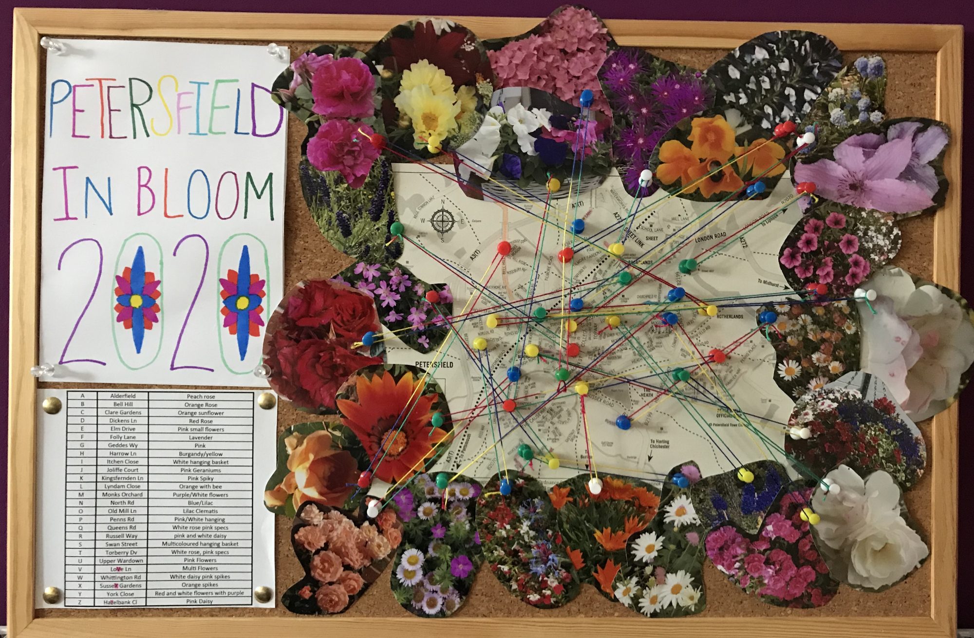 flower photos linked to a map of where they were found around the town