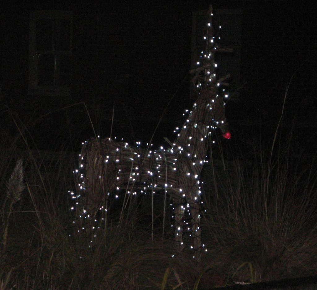 Reindeer decorated in fairy lights.