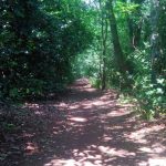 Petersfield Heath Path