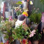 455643940_394751636986647_2275618511592044047_n