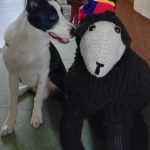 455962229_397438333384644_3252350900930666707_n