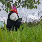 459085797_413167798478364_6339014997383627150_n