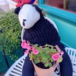 459500182_415299681598509_8134473934426521506_n