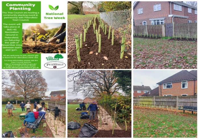 Tree planting images.