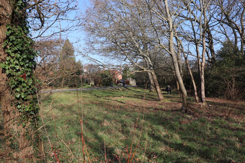 Bell Hill Common